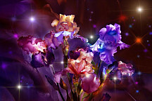 Obraz na stenu Kvetinové trblietky Gladiol